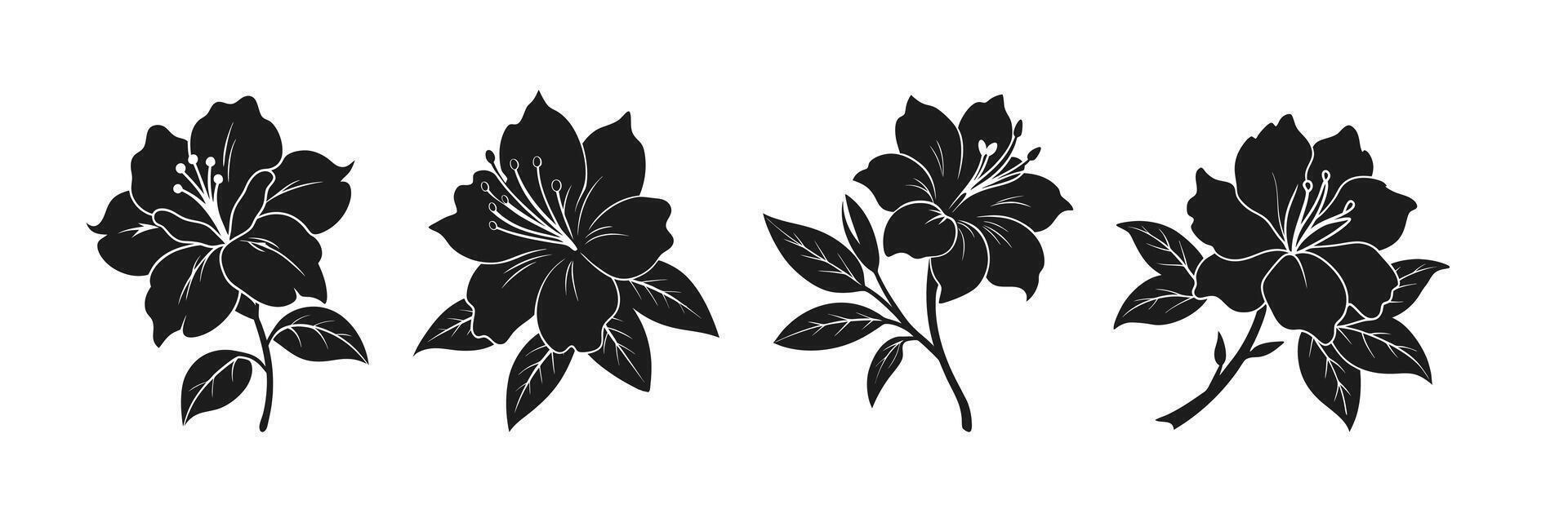 Set of azalea silhouettes illustration on white background vector