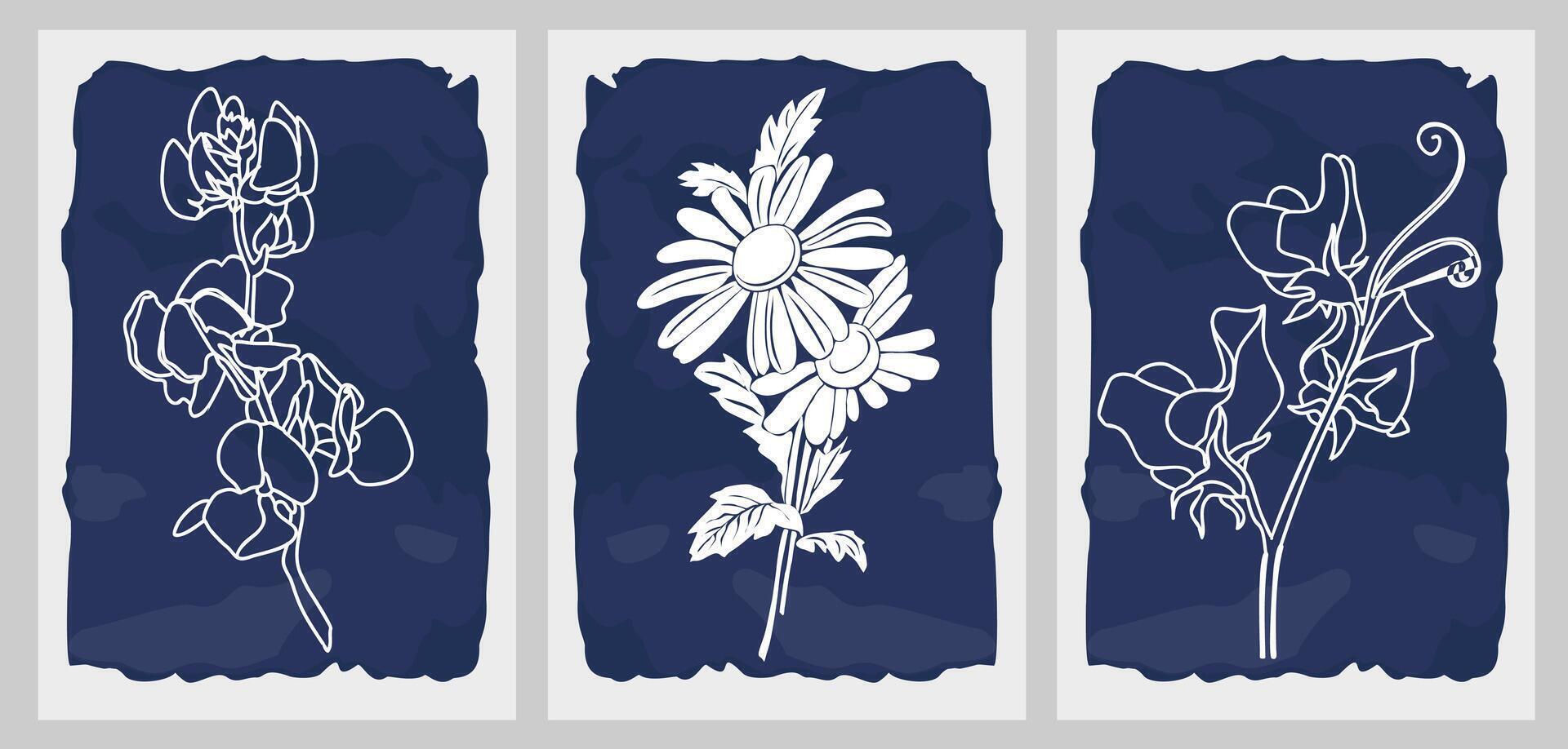 Set of Sweet Pea and Daisy April birth month flower line art drawings. Modern minimalist wall art, poster vector