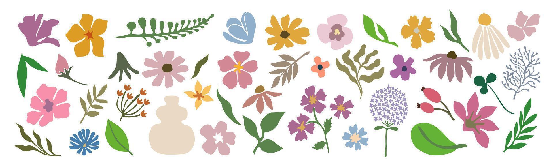 Set of hand drawn shapes and floral design elements. Exotic jungle leaves, flowers and algae vector