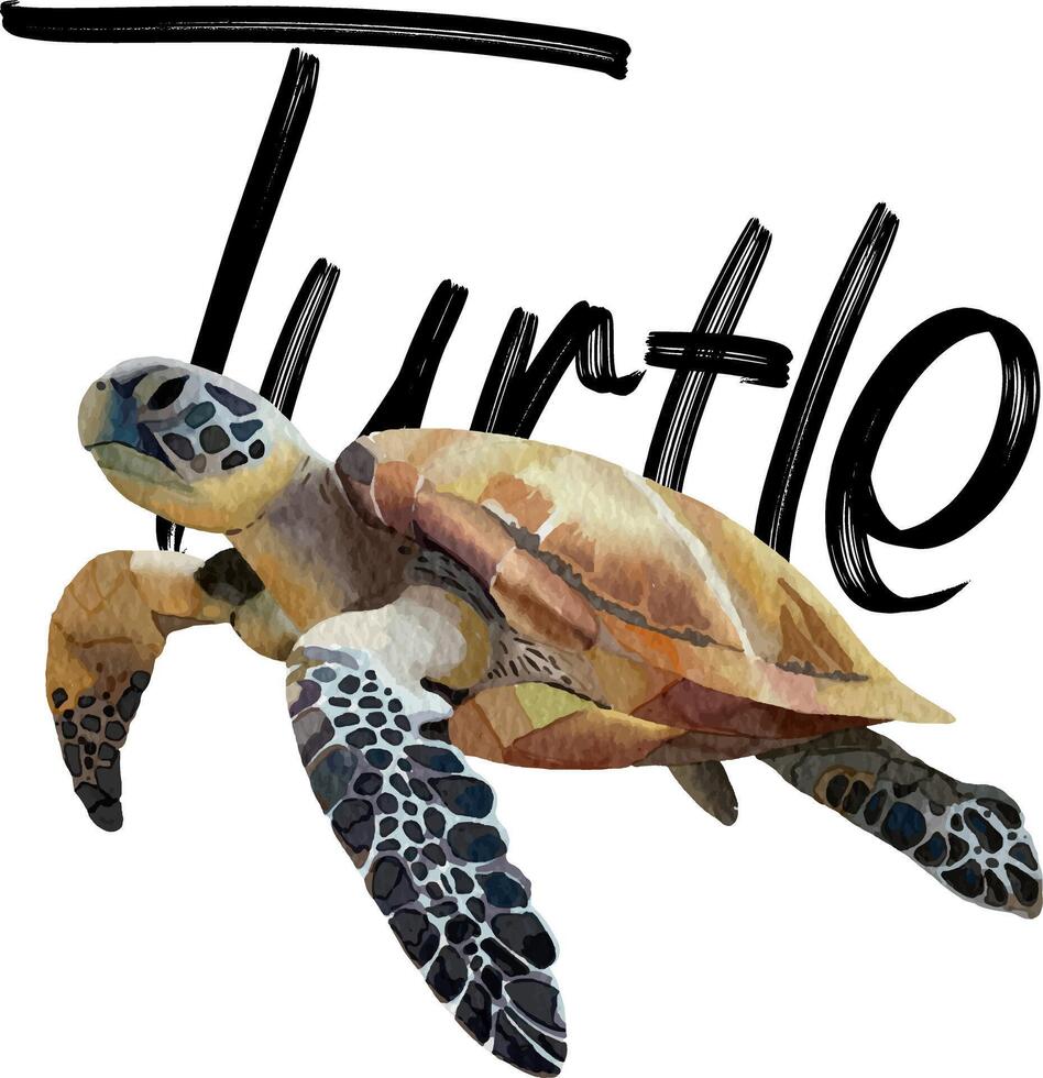 Hand drawn Turtle design for templates. vector