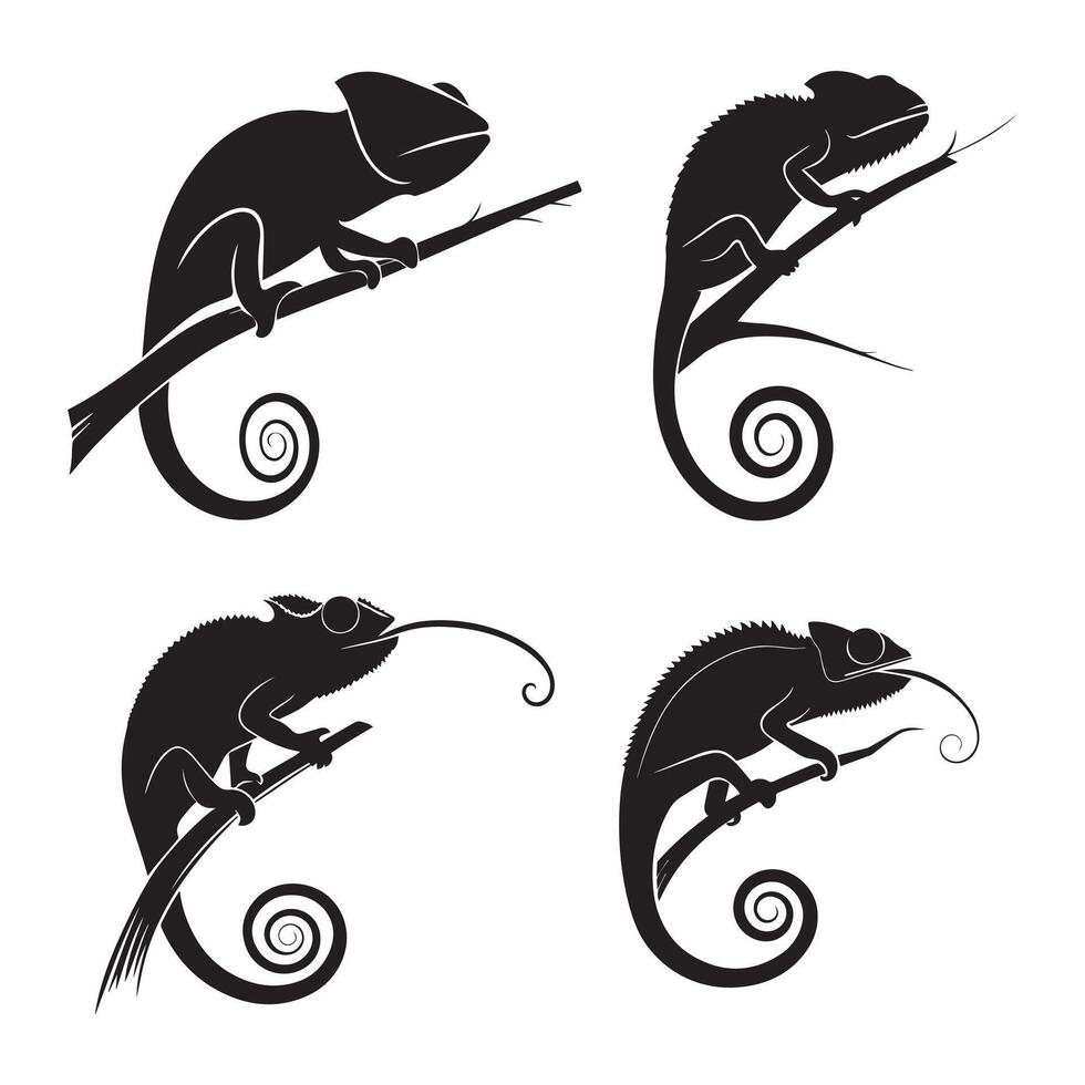 Chameleon Silhouette Collection vector