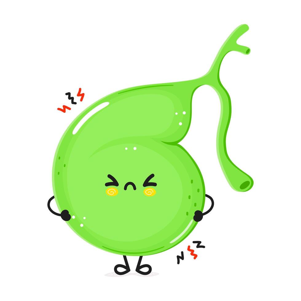 Cute angry Gallbladder character. hand drawn cartoon kawaii character illustration icon. Isolated on white background. Sad Gallbladder character concept vector