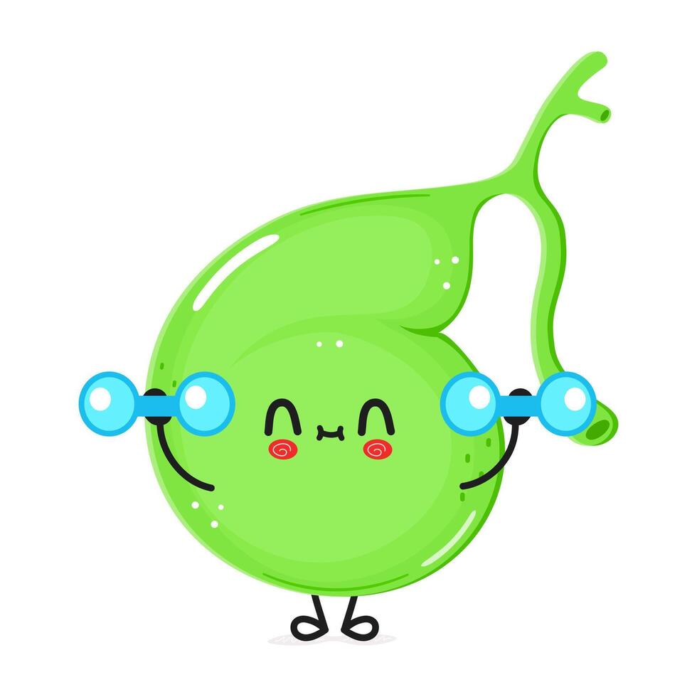 Cute funny Gallbladder character with dumbbells. hand drawn cartoon kawaii character illustration icon. Isolated on white background. Gallbladder character gym concept vector