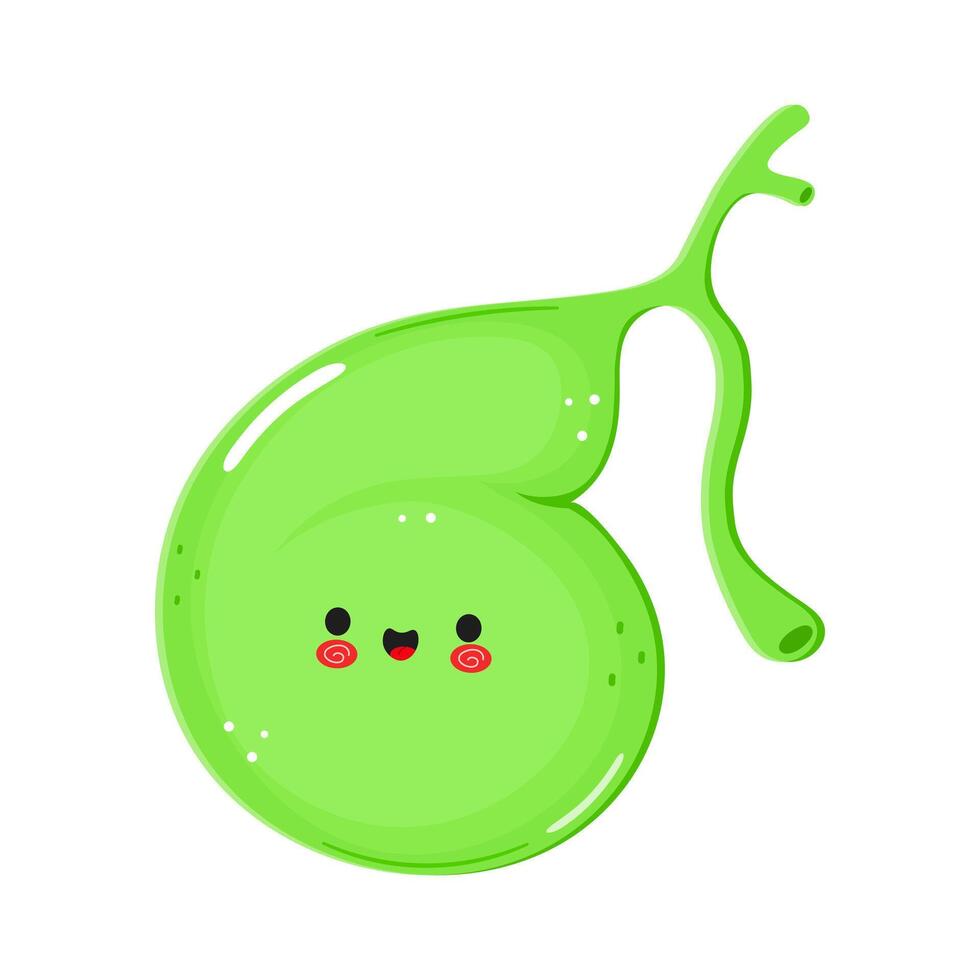 Gallbladder character. hand drawn cartoon kawaii character illustration icon. Isolated on white background. Gallbladder character concept vector
