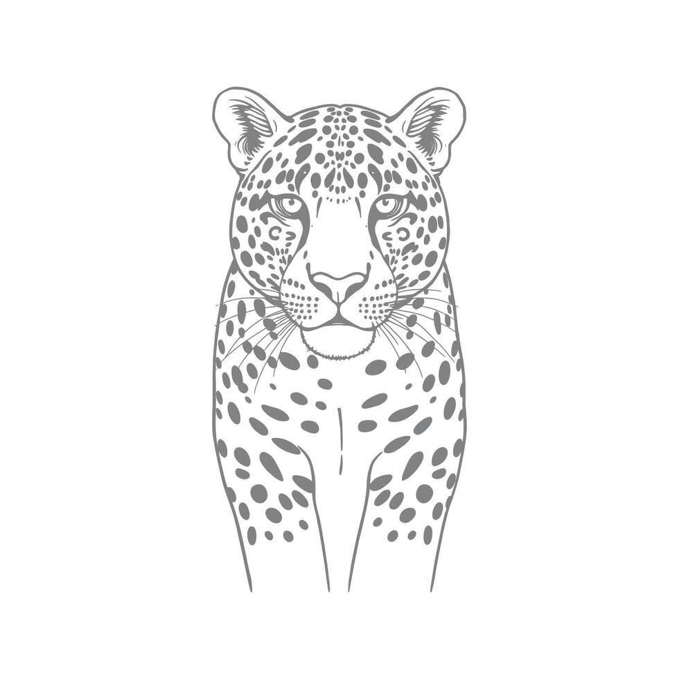 Winsome A drawing of a leopard with the word cheetah on it vector