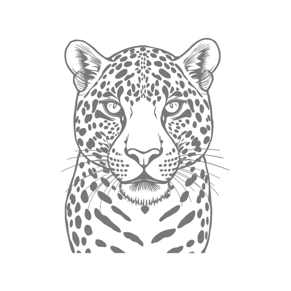 Perky A drawing of a leopard with the word cheetah on it vector