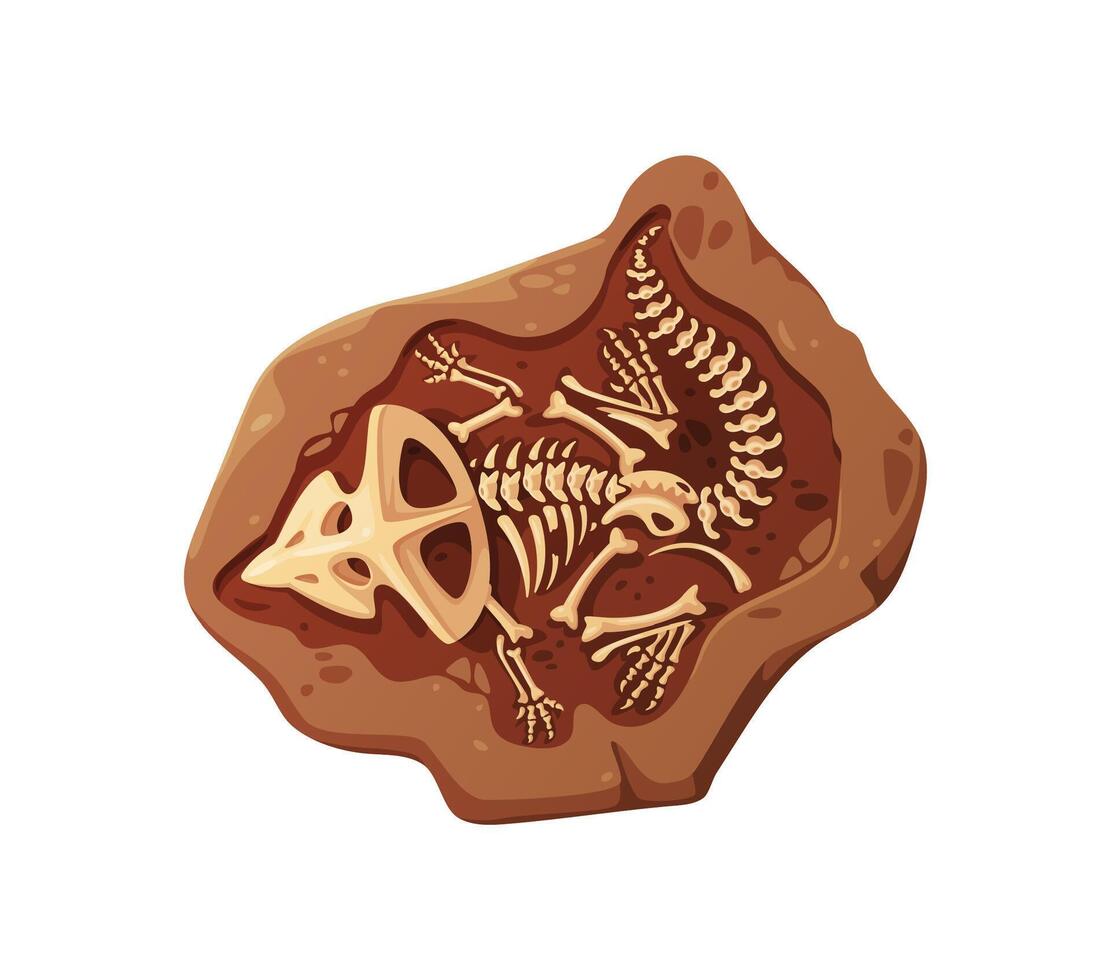Dino fossil skeleton bones isolated dinosaur relic vector