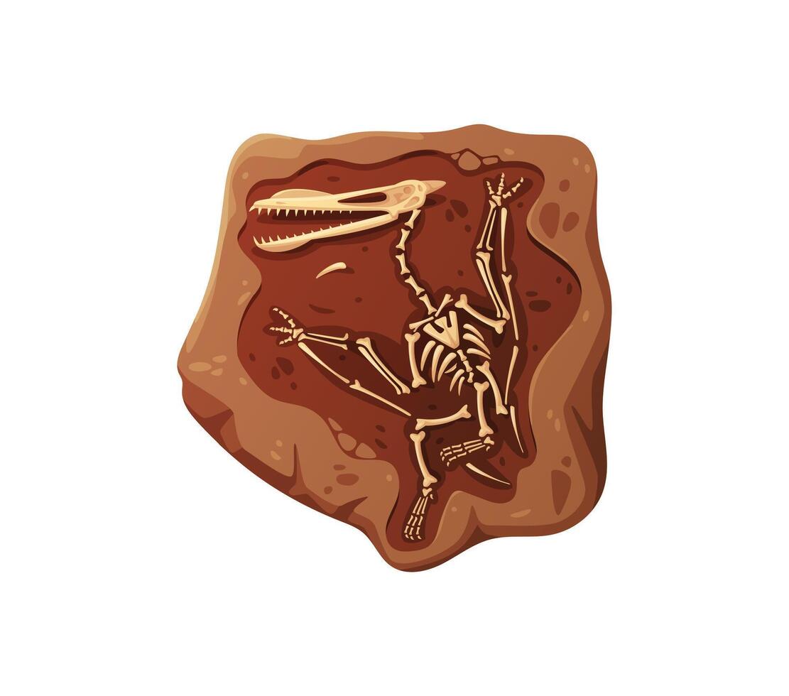 Dino fossil skeleton bones, prehistoric creature vector