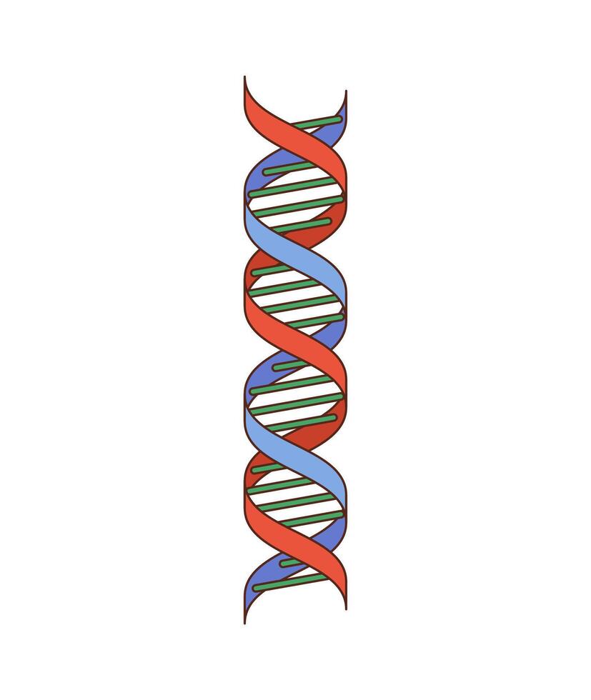Cartoon groovy Dna helix, genetic medicine sign vector