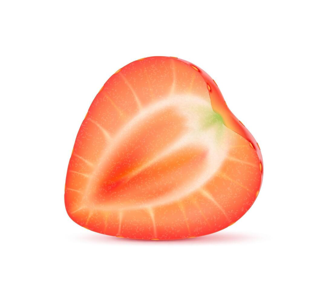 3D realistic raw ripe strawberry fruit half vector