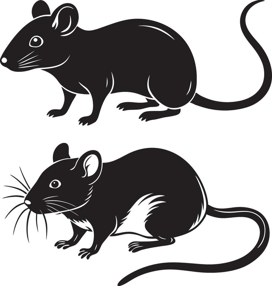 two black and white rats on a white background vector