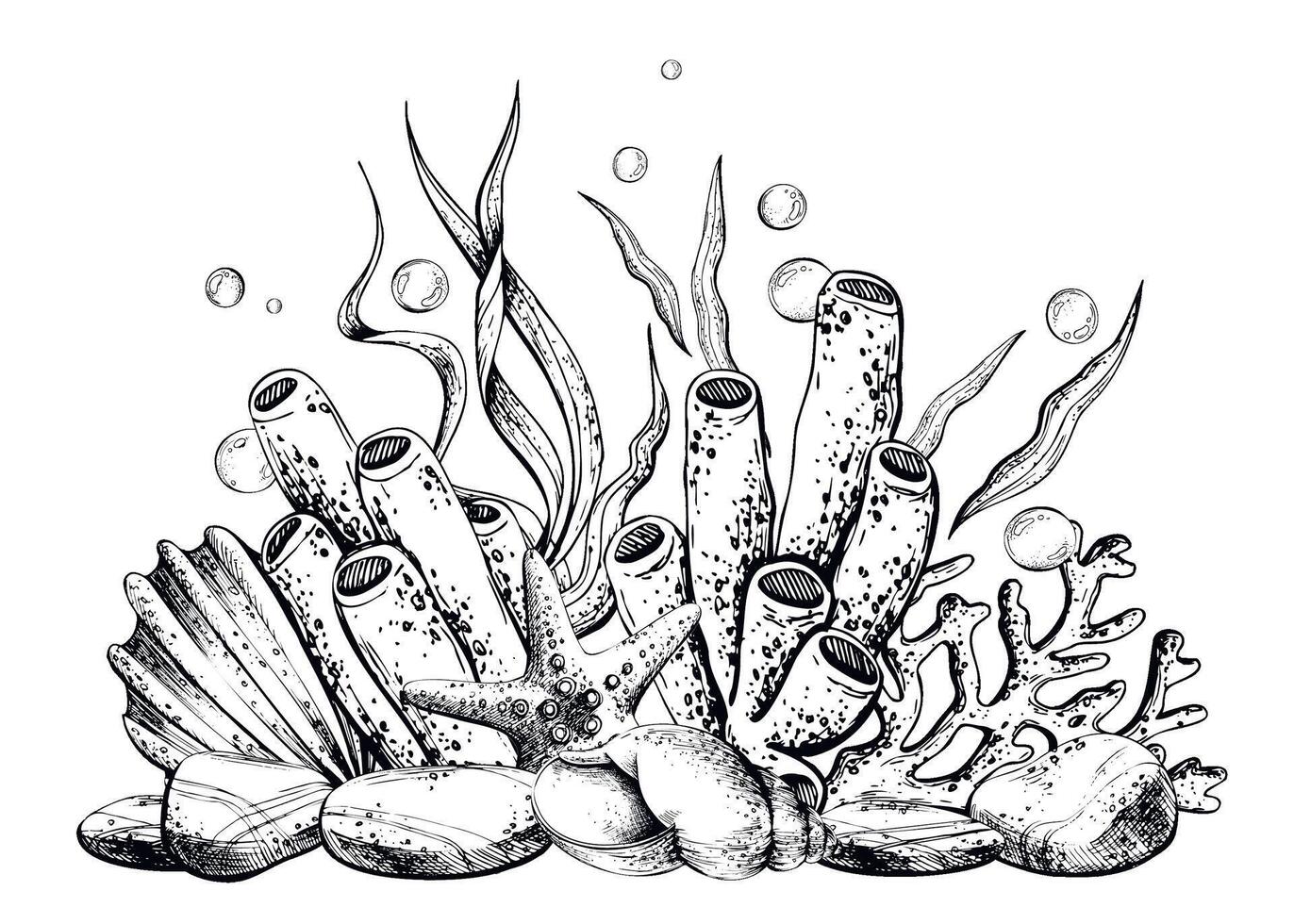Seashell, starfish, sea sponge, algae, pebbles and bubbles. Hand drawn graphic illustration in black and white color line art. Sublimation arrangement on marine theme vector