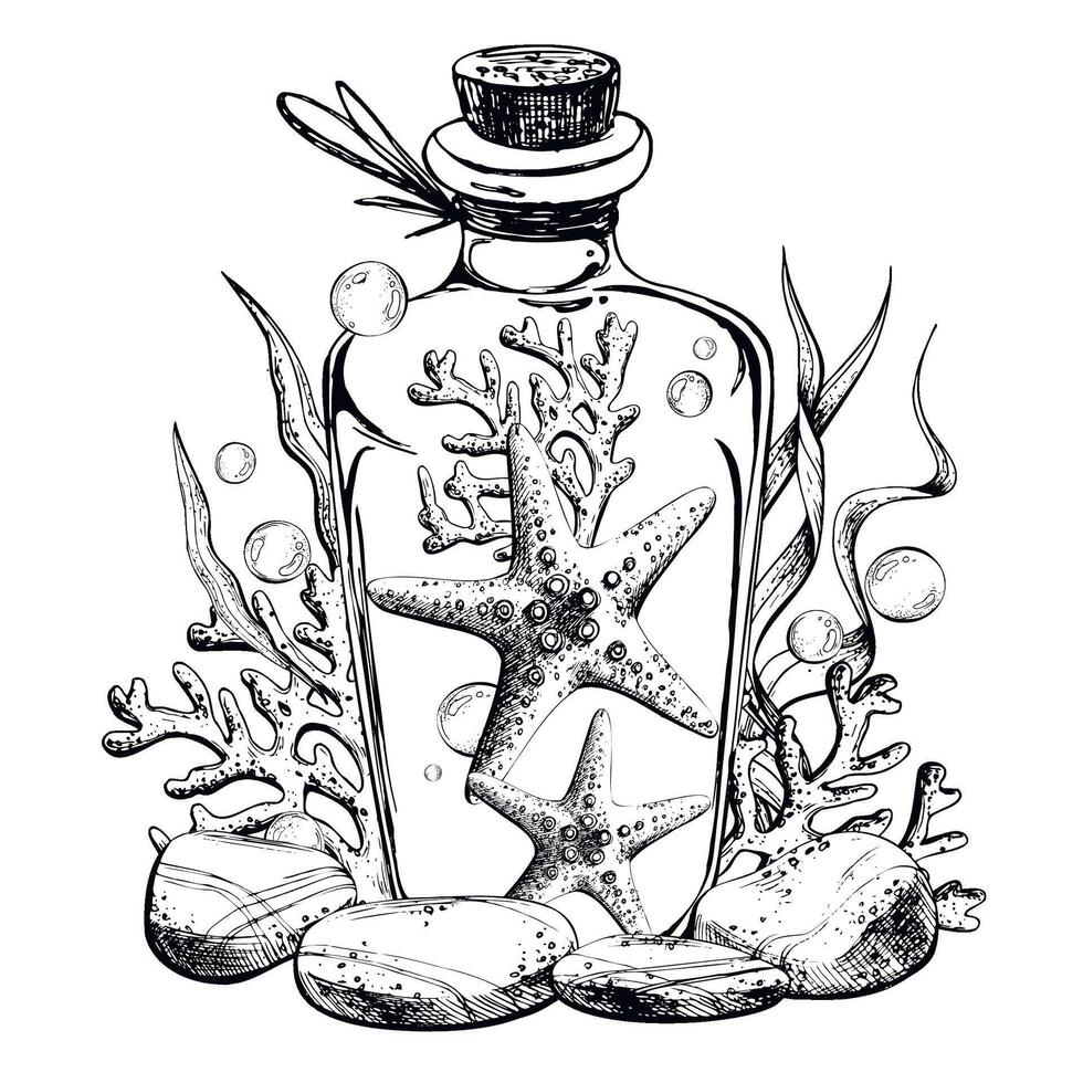 Starfish, algae, corals, pebbles and bubbles inside a glass bottle with a stopper. Hand drawn graphic illustration in black and white color line art. Sublimation arrangement on marine theme vector