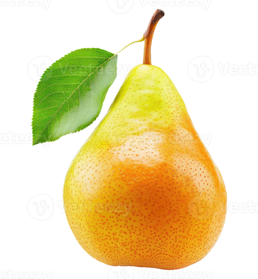 Pear with leaf png