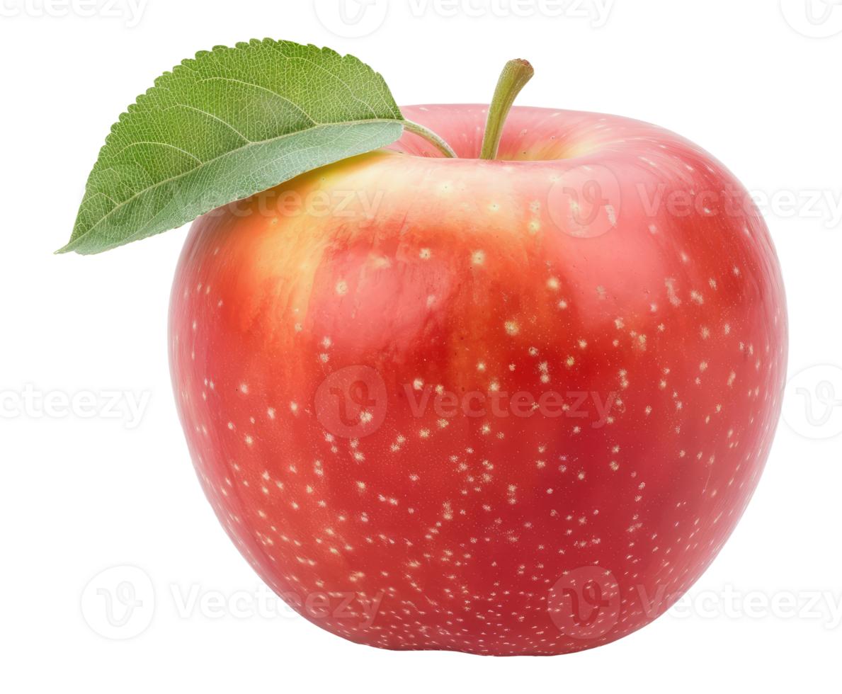Red apple with leaf png
