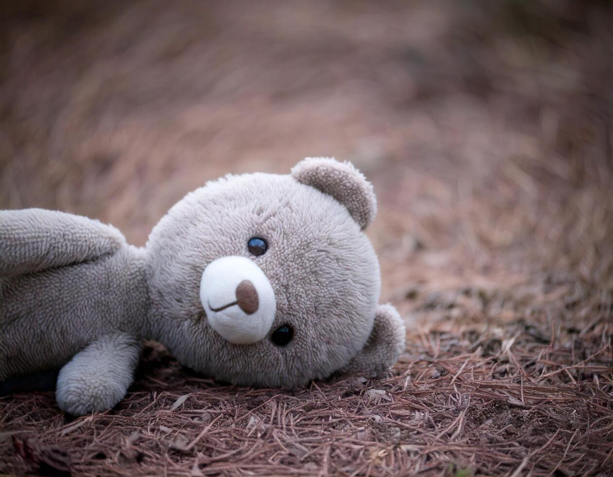 A half gray bear doll lying facedown on the ground in a yard, with button eyes. photo