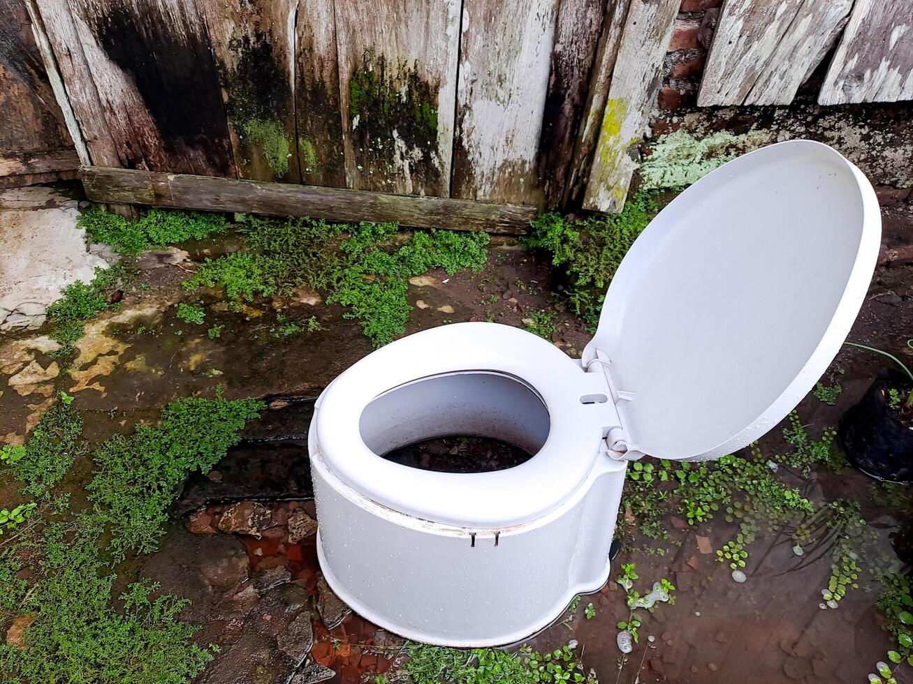 A portable toilet placed outdoors against a rustic old wooden wall, with green moss and plants surrounding the area. photo