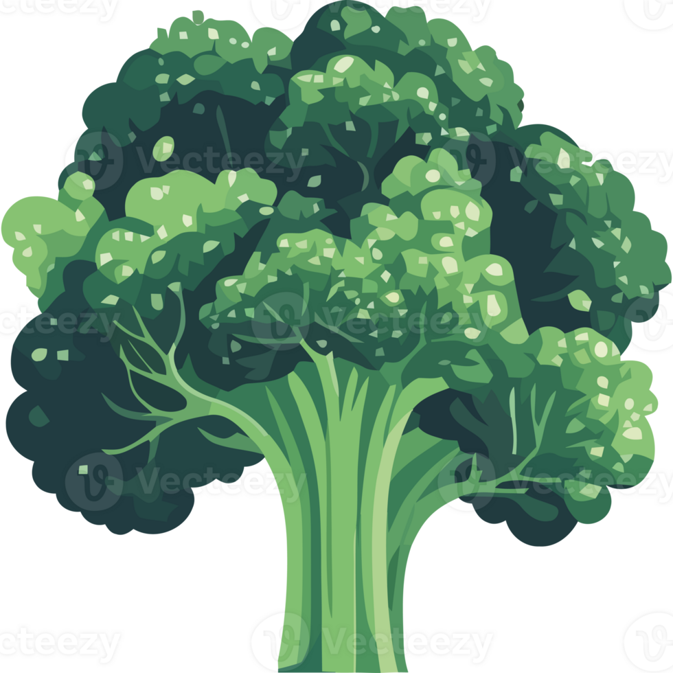 Fresh broccoli, a symbol of healthy eating icon isolated png