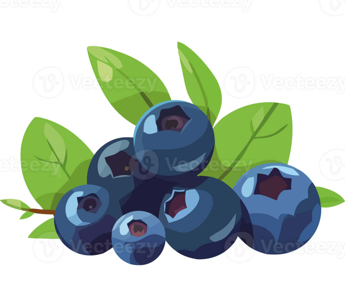 Ripe blueberries on leaf, fresh nature dessert icon isolated png