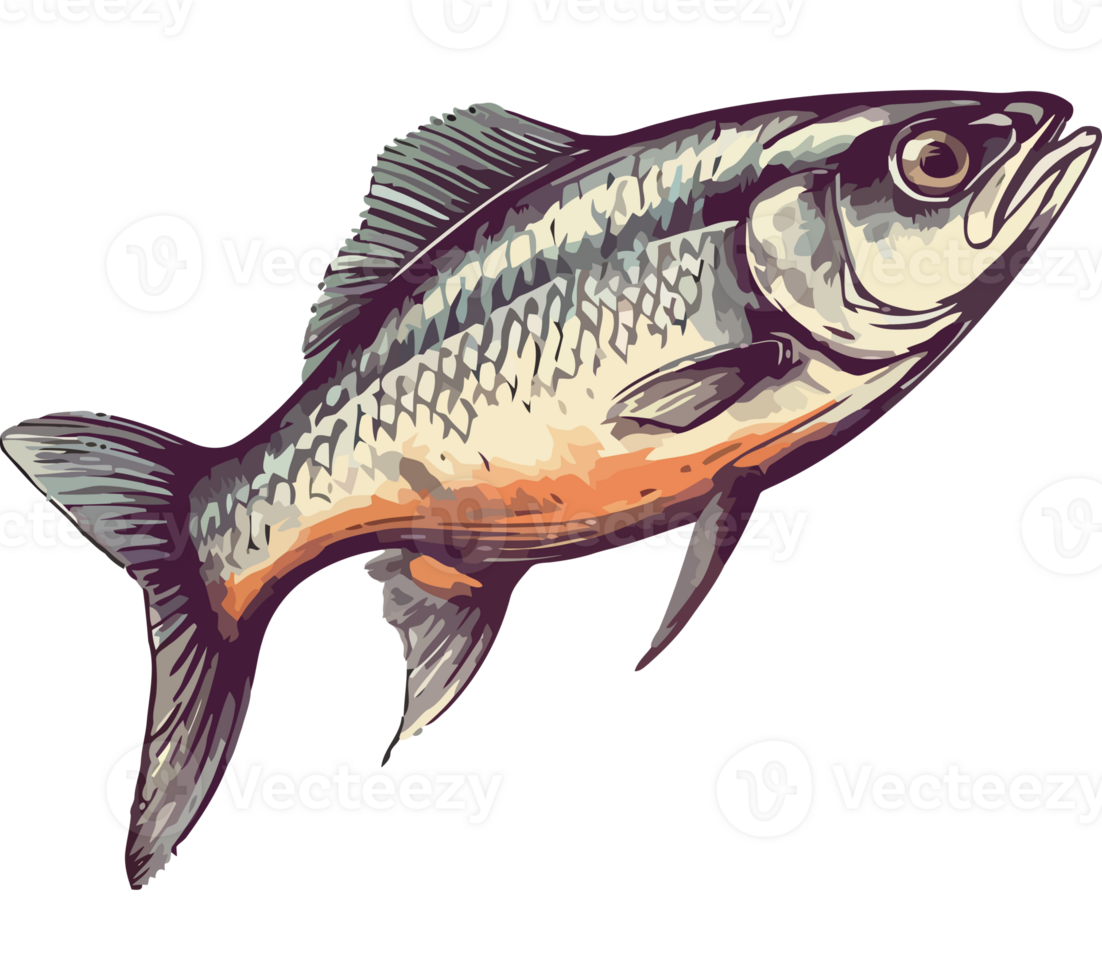 Fresh seafood meal, fish icon isolated png
