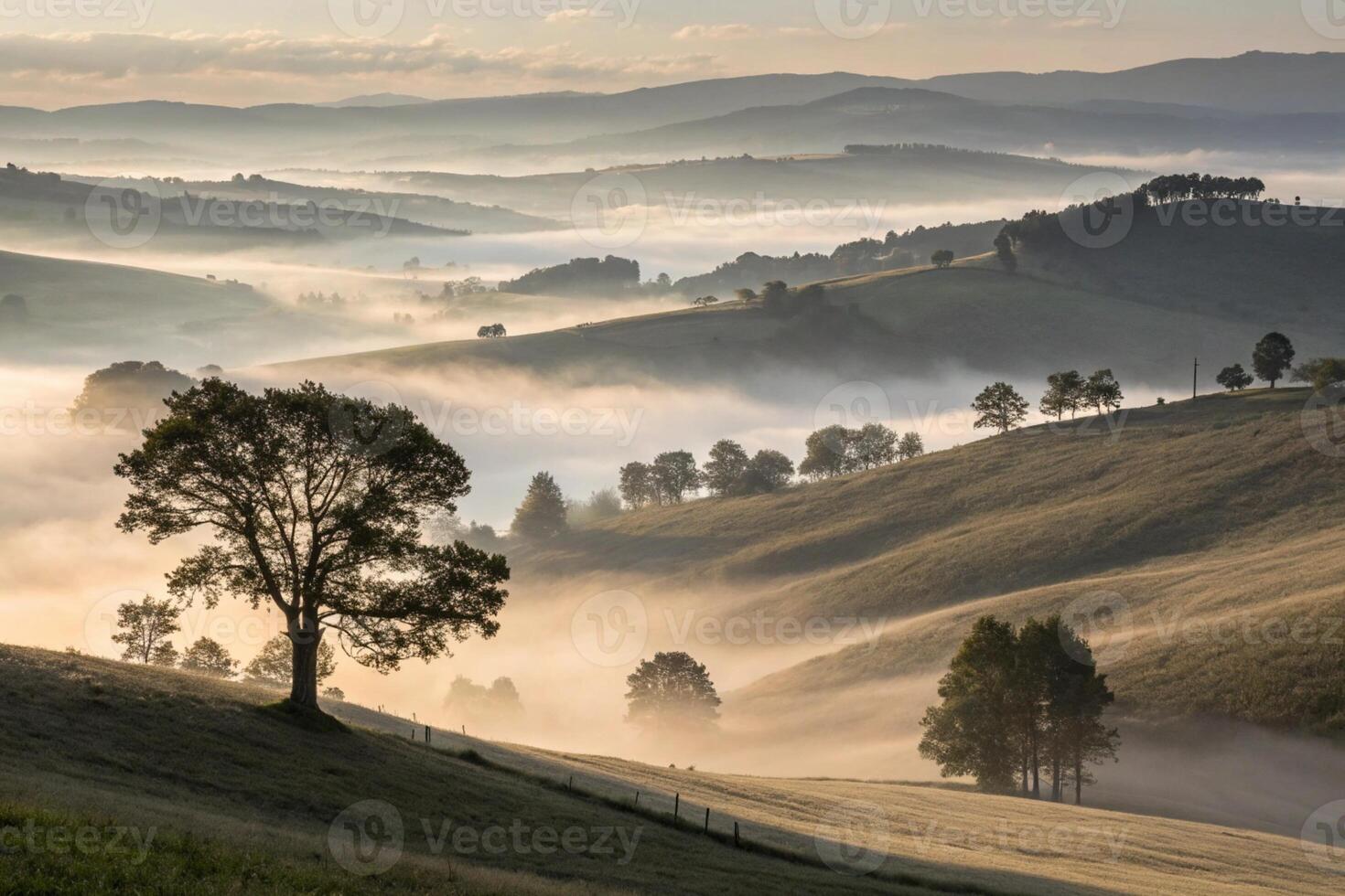 a tree stands on a hill overlooking a valley with fog photo