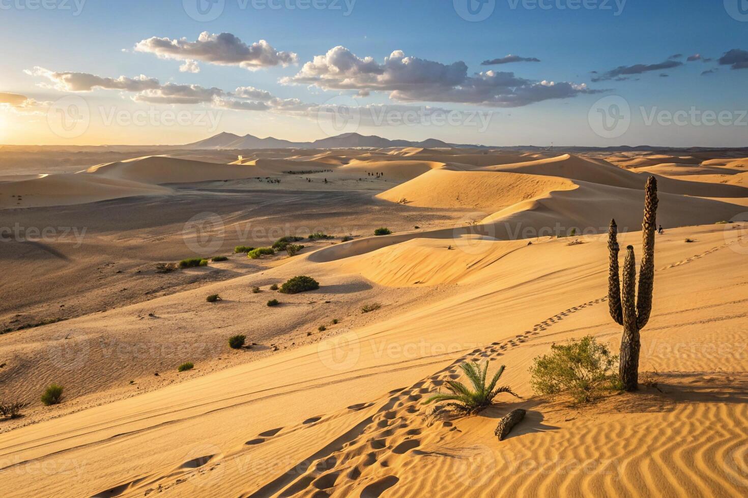 the desert is a place of beauty and mystery, but it's also a place of danger photo