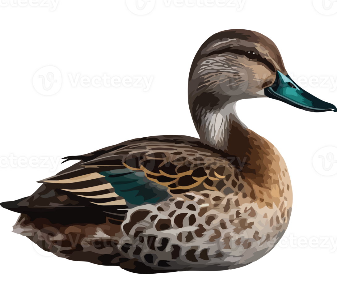 Mallard duck on isolated background icon isolated png
