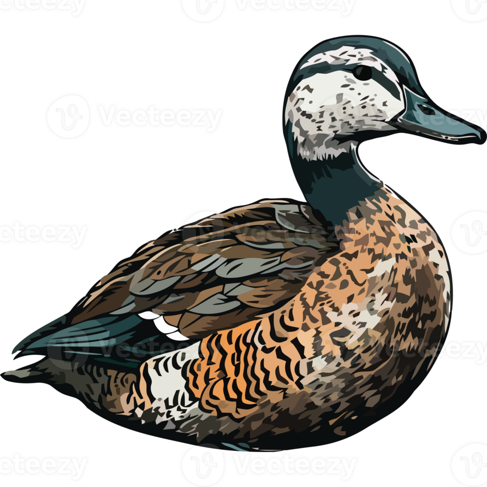 cute duck animal icon isolated png