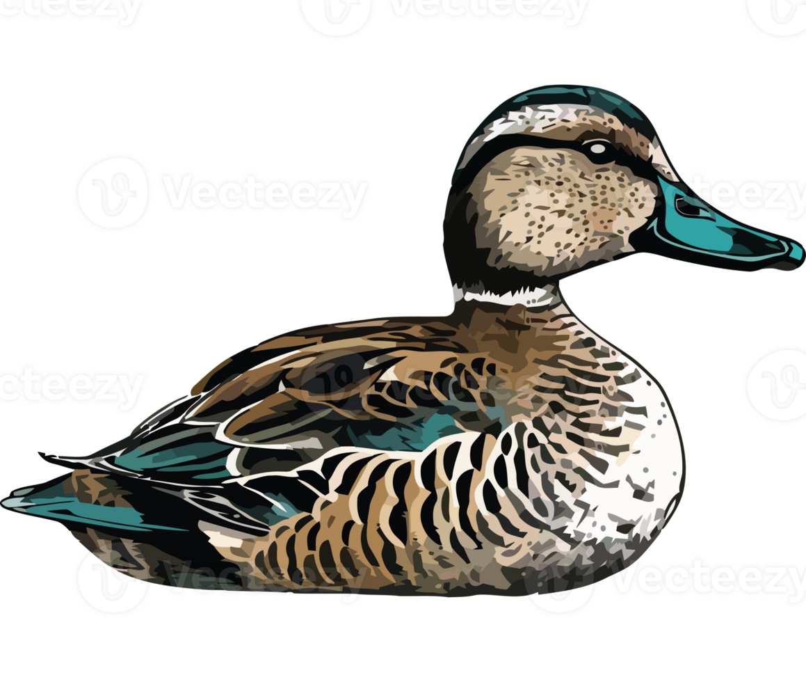 Mallard duck, nature beauty animal icon isolated png