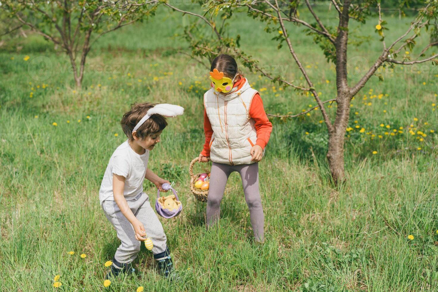 Two children hunt for Easter eggs in a spring garden. Easter tradition photo