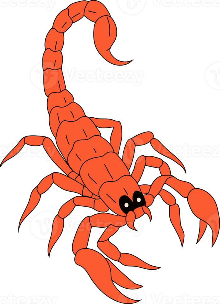 a cartoon scorpion png