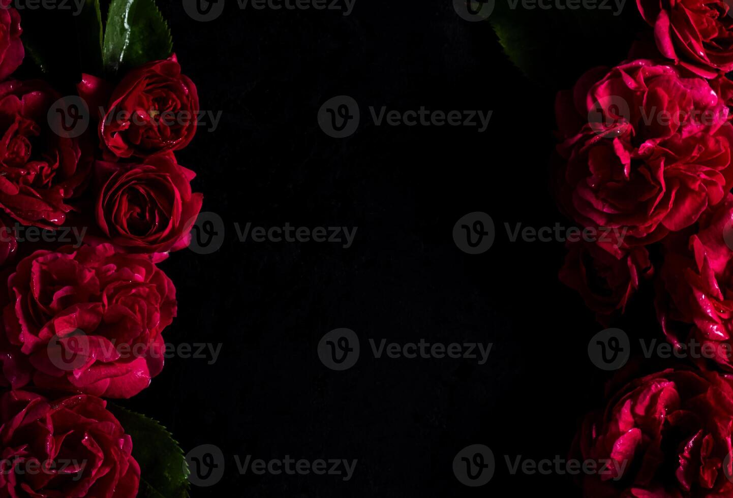 Moody flowers. Floral frame. red roses on a black background. Blur and selective focus. photo