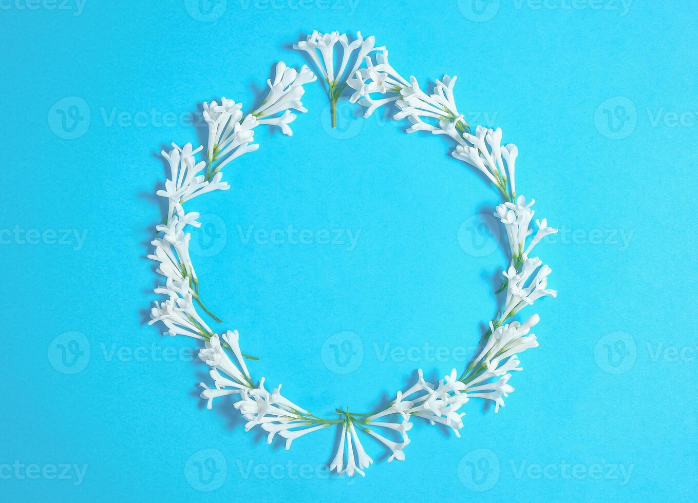 Round frame of white lilac flowers on blue background. .Top view, flat lay. photo