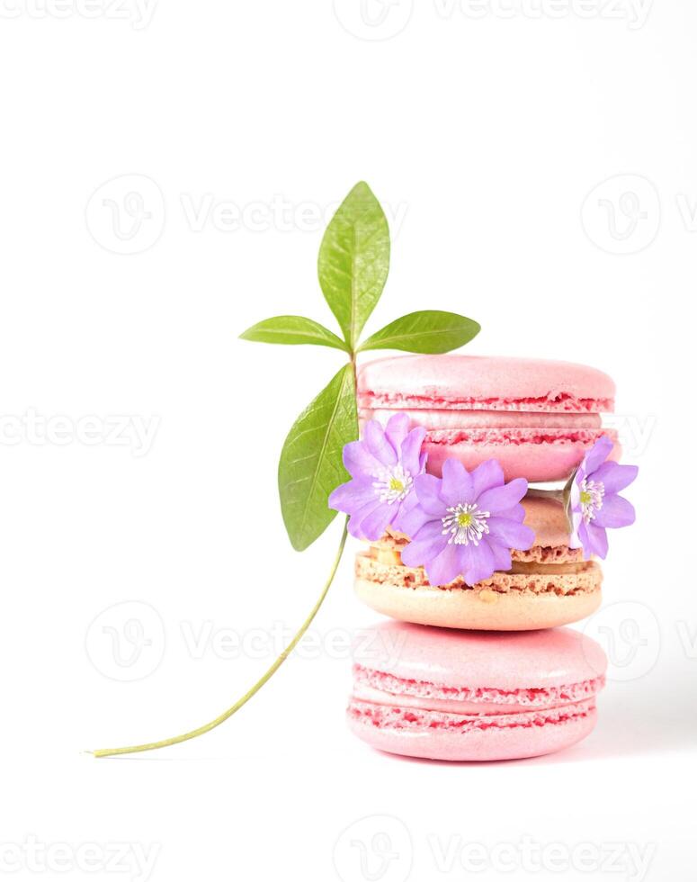 Elegant Macarons Stack with Purple Flowers and Green Leaf. Copy space photo