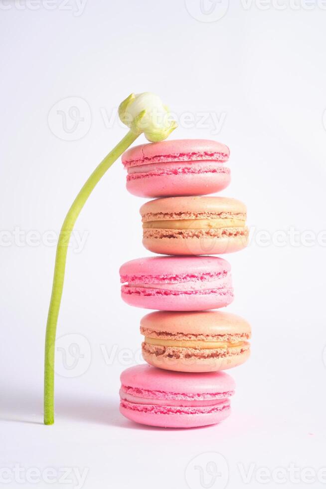 Stack of Colorful Macarons with Flower Accent. Photo aesthetics