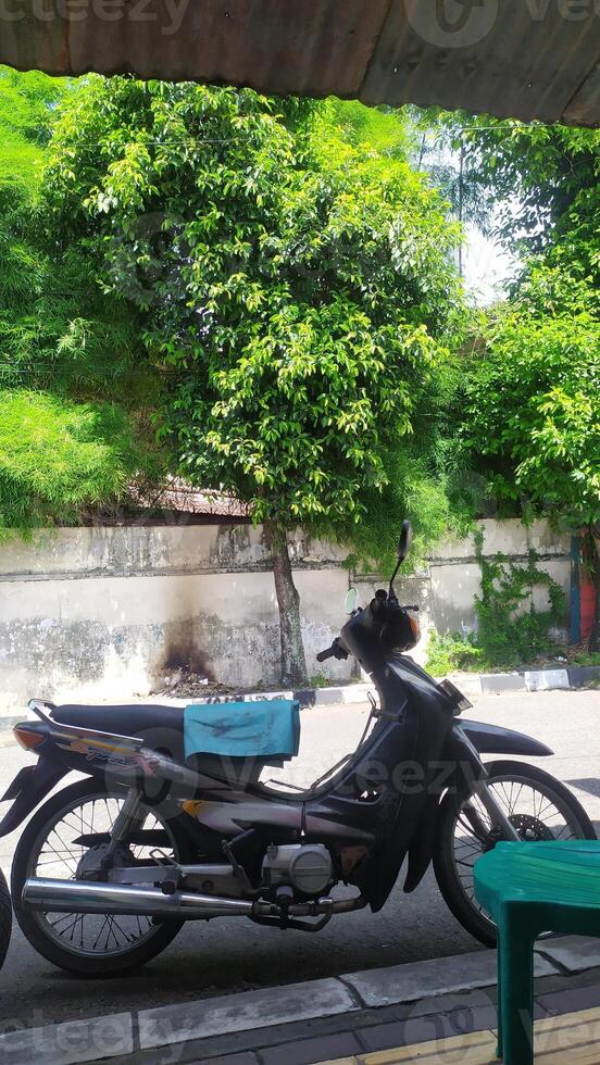a motorcycle parked next to a table and chairs, shady trees on the side of the road photo