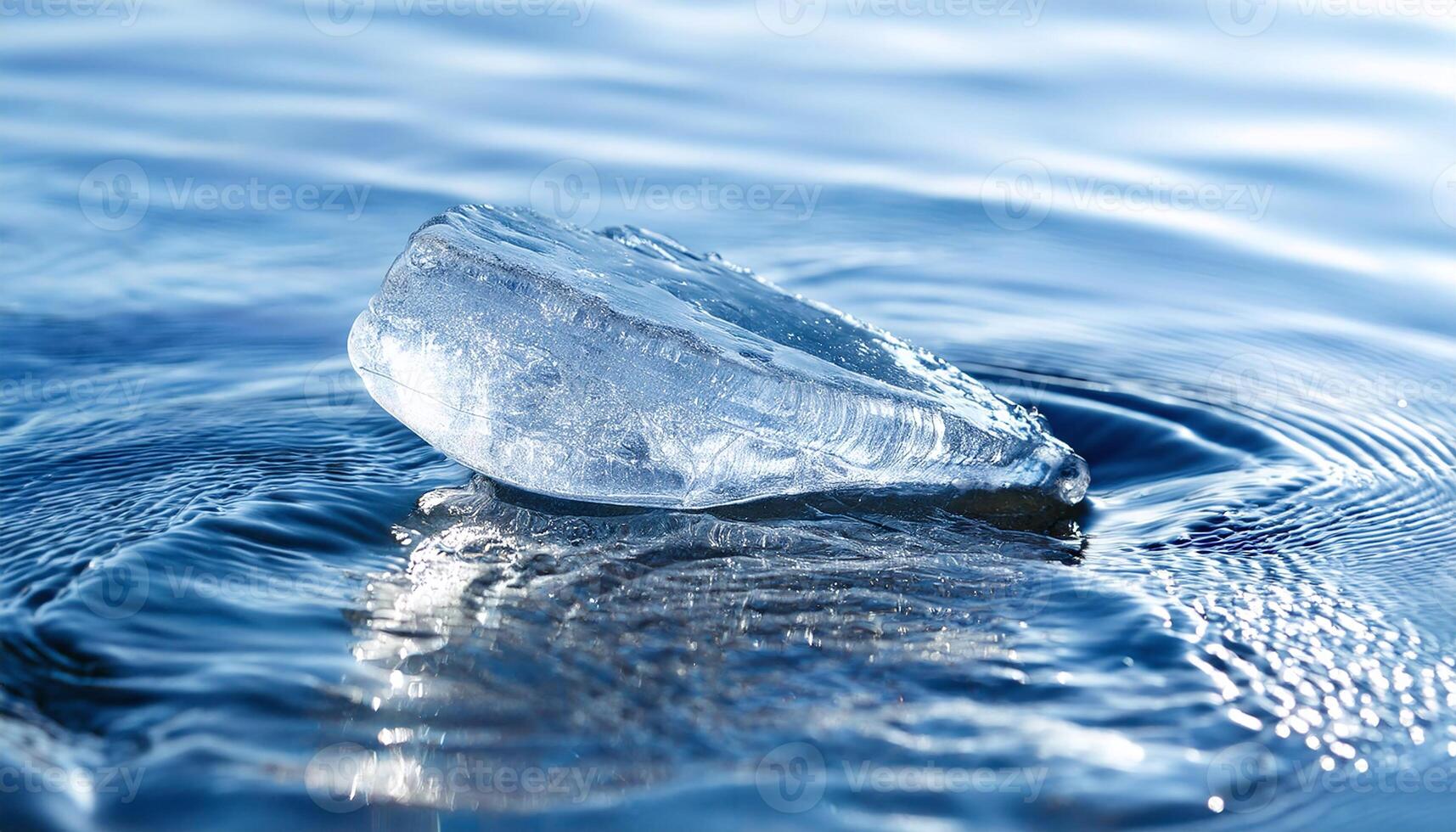 Ice Shape Flow on Sea Surface photo