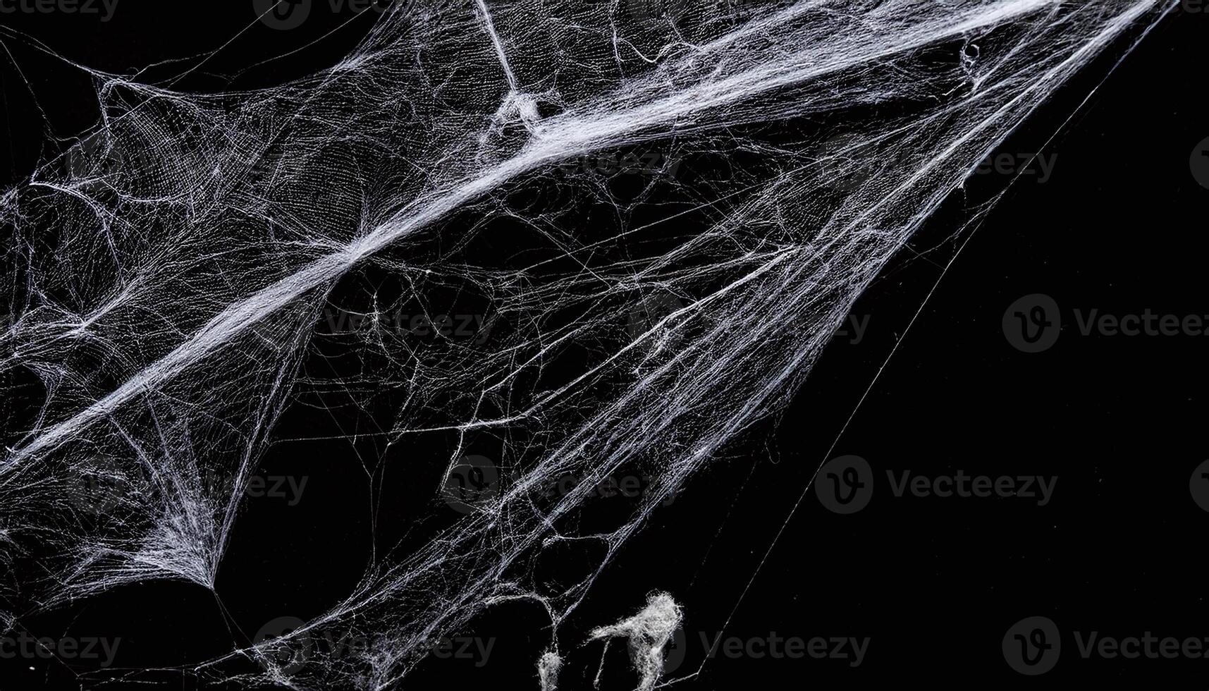 Cobweb in the Dark Background photo