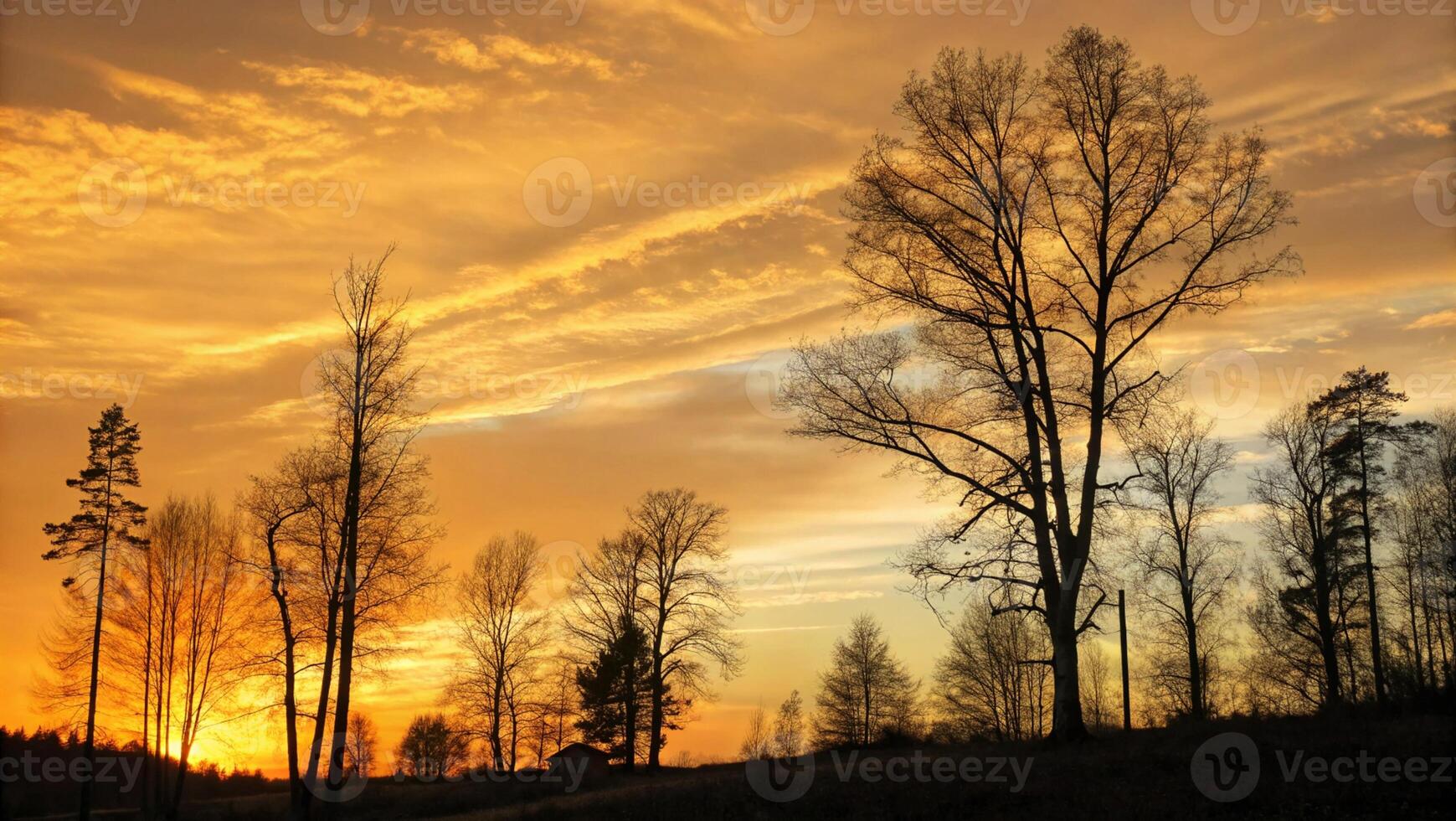 An AI image of a golden autumn sky with bare tree silhouettes photo