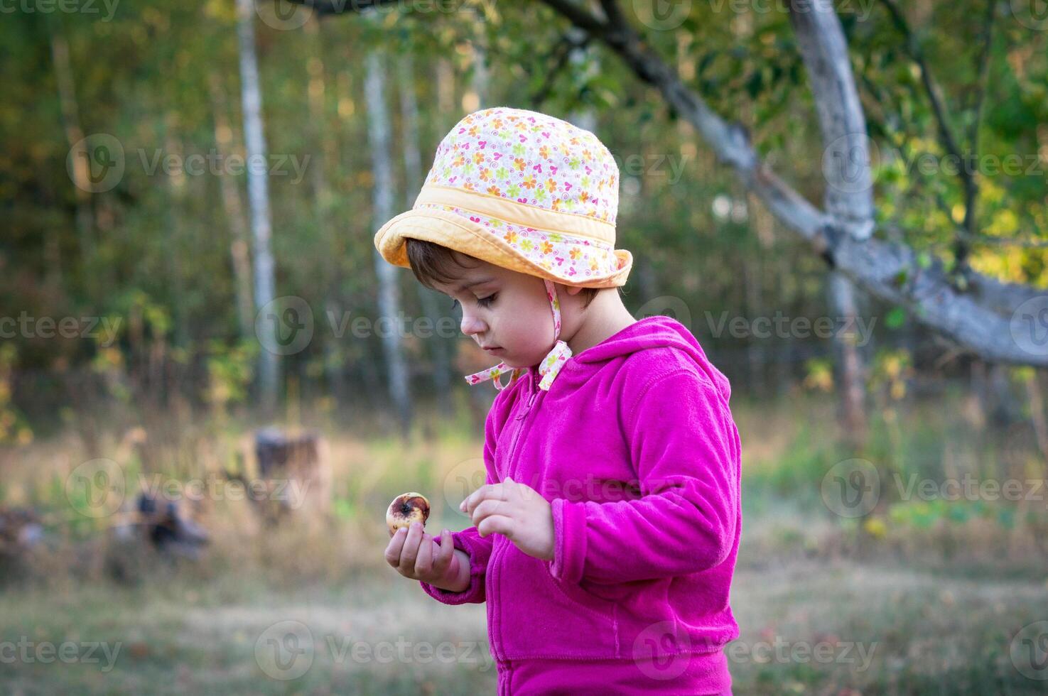 A little girl or child on a walk in a park, garden or forest holds a rotten apple in her hands and carefully examines her find. photo