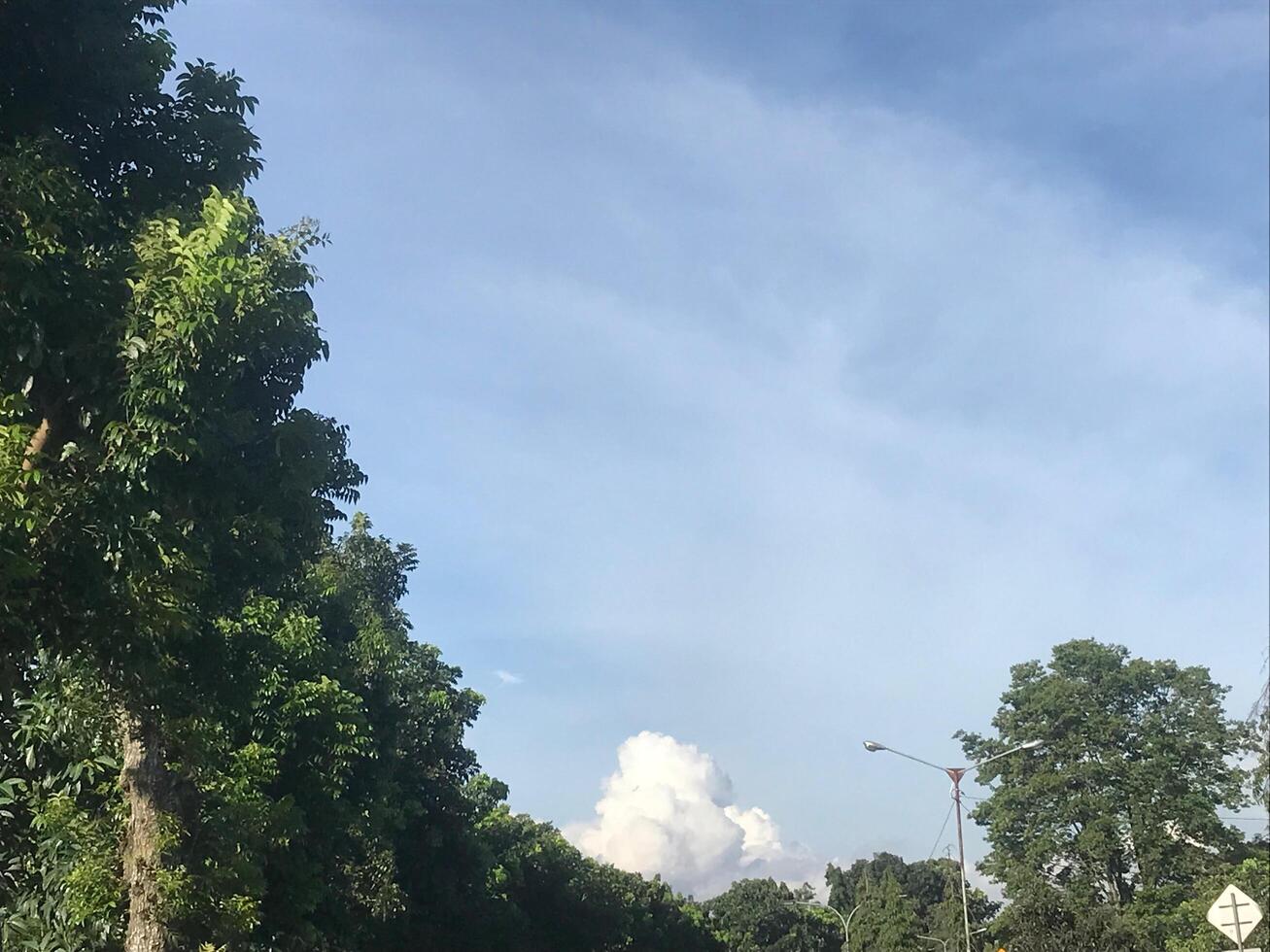 Road with trees and a cloud in the sky photo