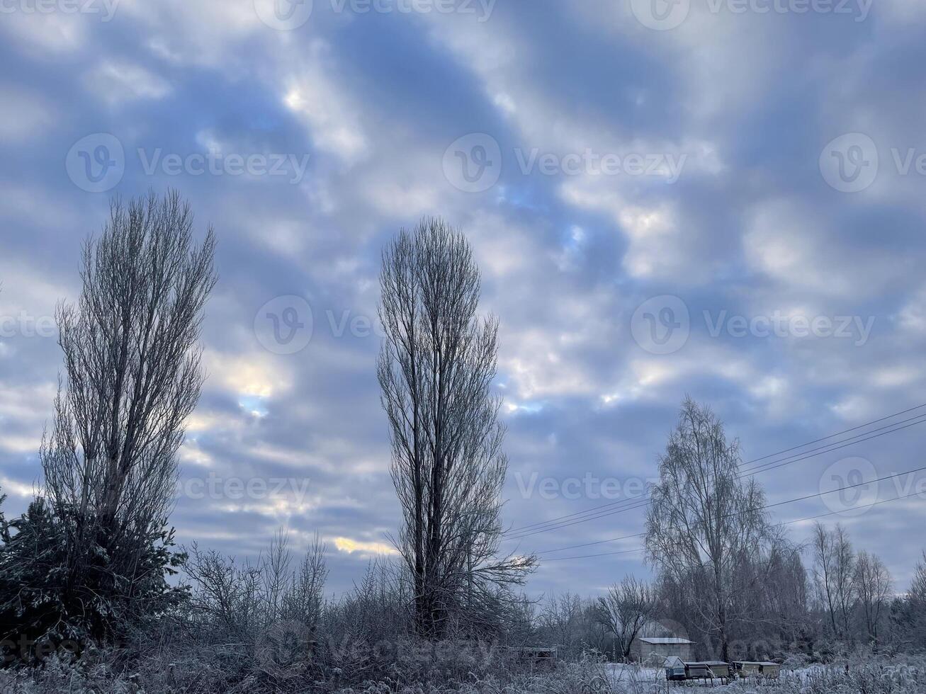 Winter sky in the village with soft pastel hues 50 photo