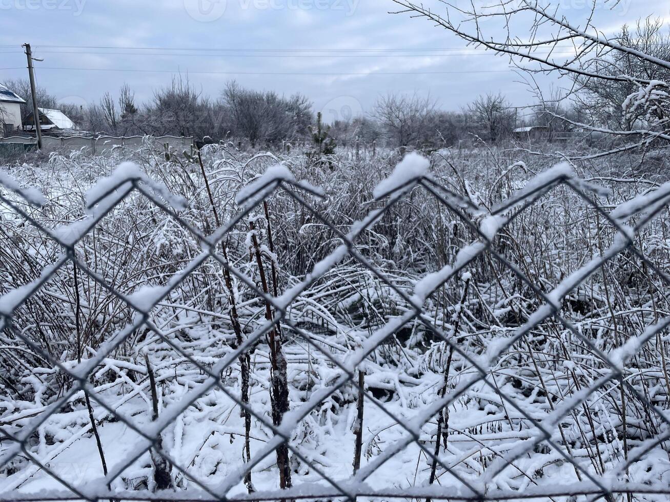 Snow-covered fence in the village under winter sunlight 2 photo