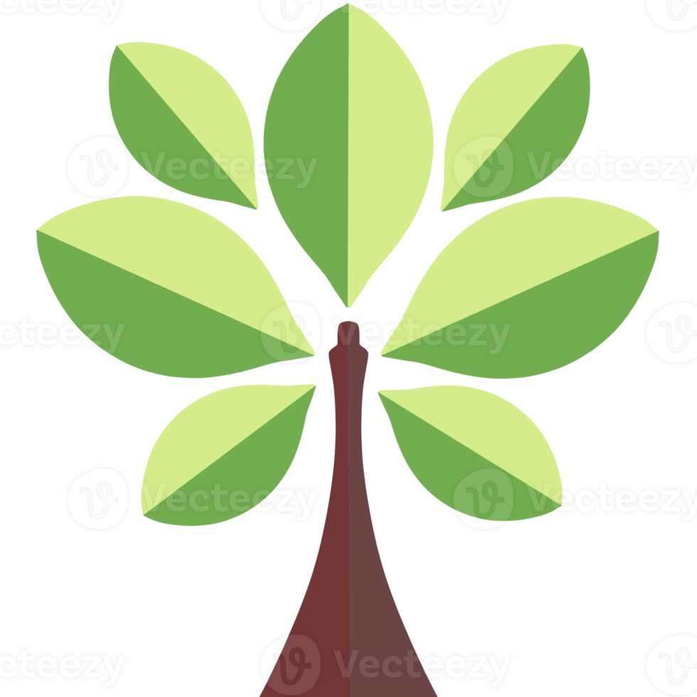 tree and leaf png