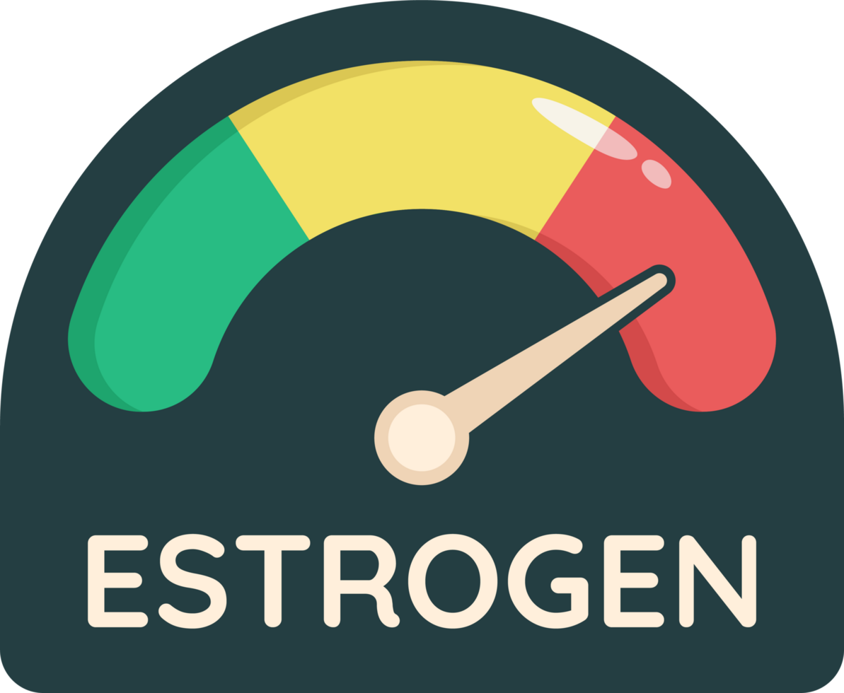 parameter speedometer extrogen png