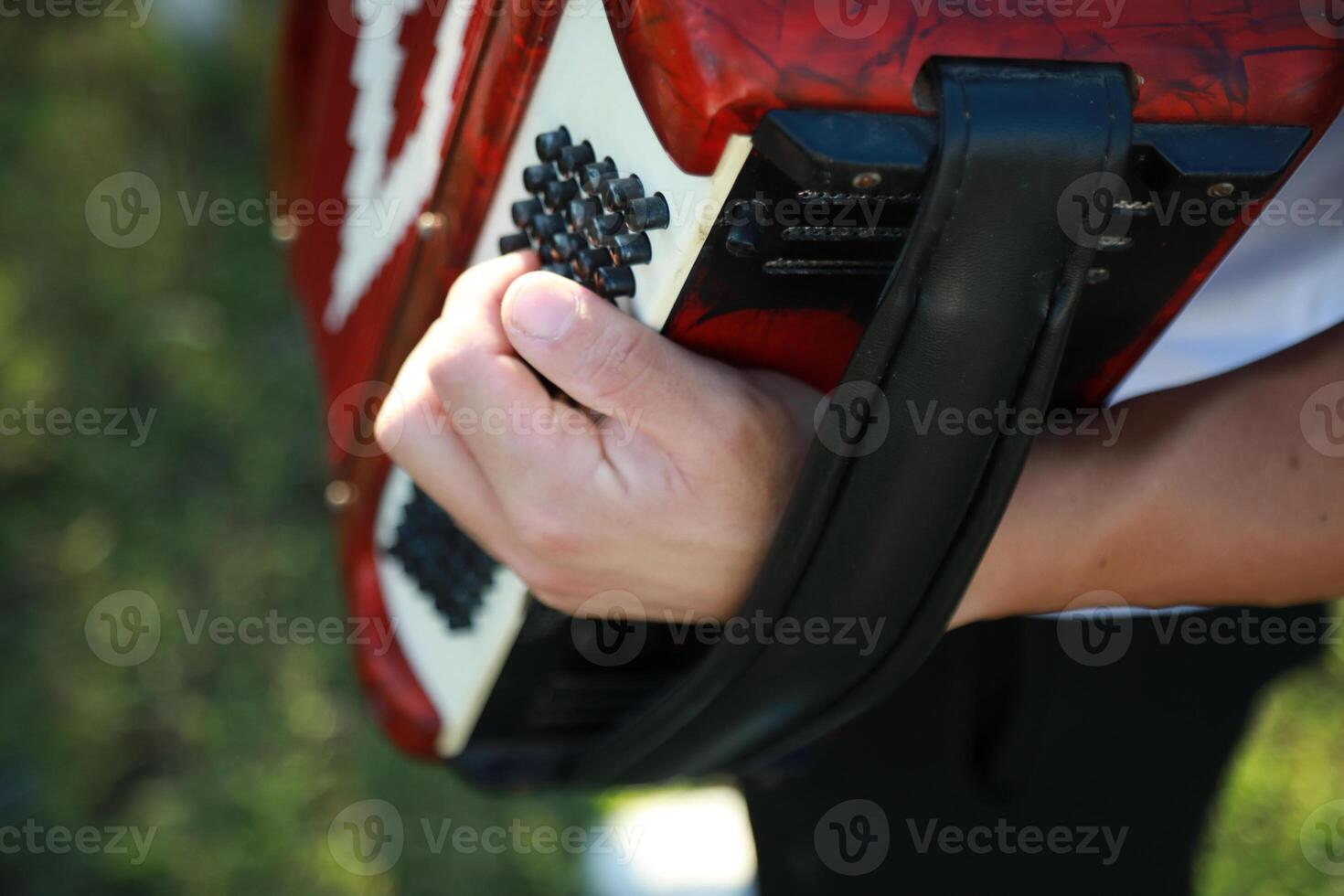Hands Of A Professional Player On The Accordion Buttons photo