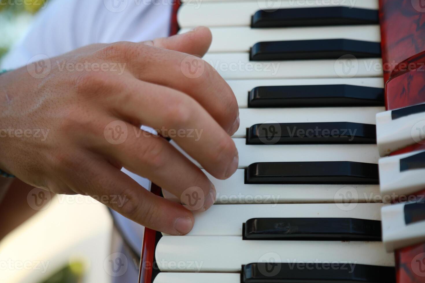 Hand On The Vintage Accordion photo