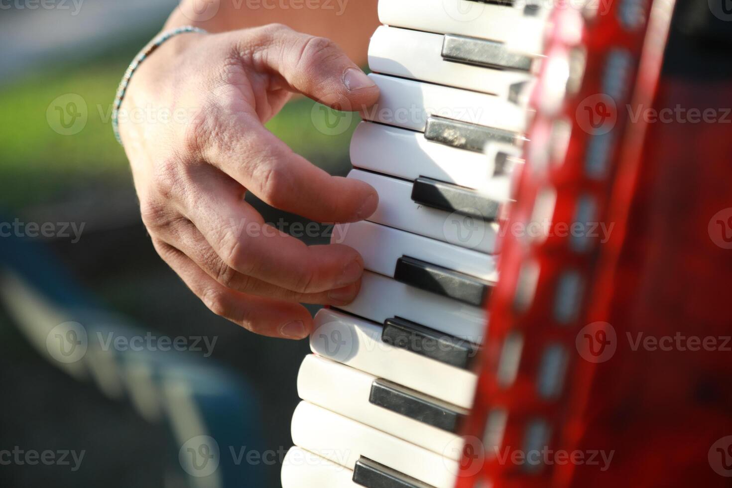 Hands On The Keyboard Of The Accordion photo