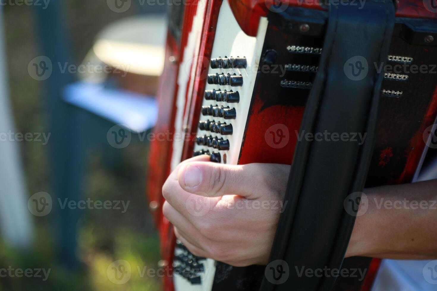Hands On The Keyboard Of The Accordion photo