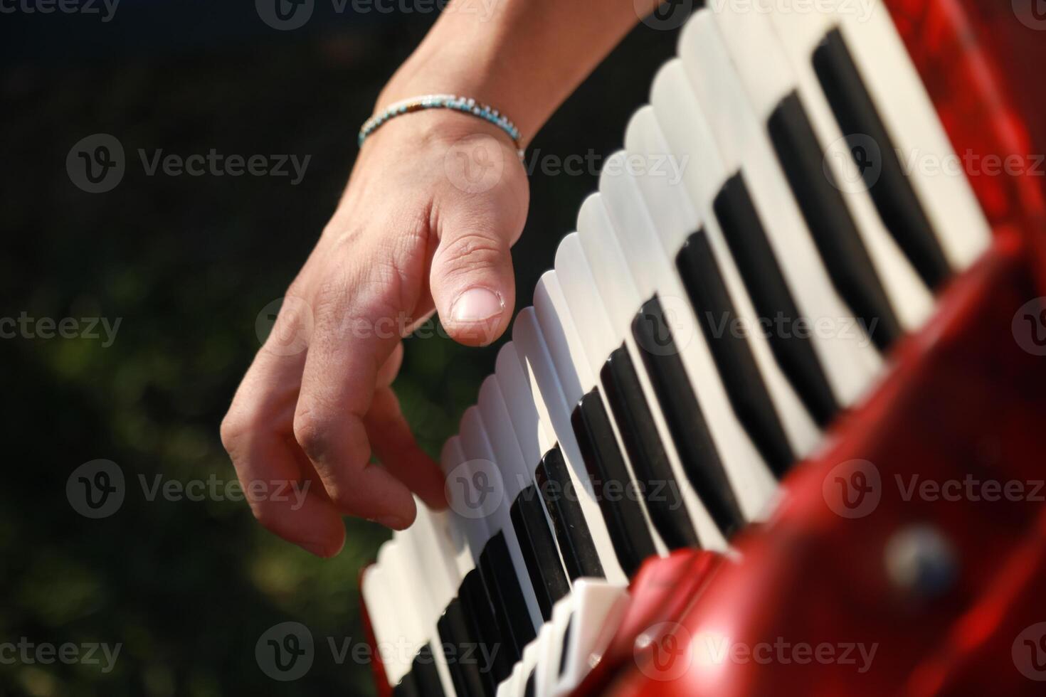 Hands On The Keyboard Of The Accordion photo